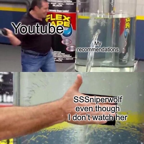 Phil Swift Slapping on Flex Tape | My recommendations; Youtube; SSSniperwolf even though I don’t watch her | image tagged in phil swift slapping on flex tape | made w/ Imgflip meme maker