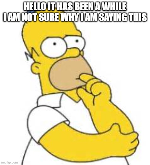 HMmmmm | HELLO IT HAS BEEN A WHILE I AM NOT SURE WHY I AM SAYING THIS | image tagged in homer simpson hmmmm | made w/ Imgflip meme maker