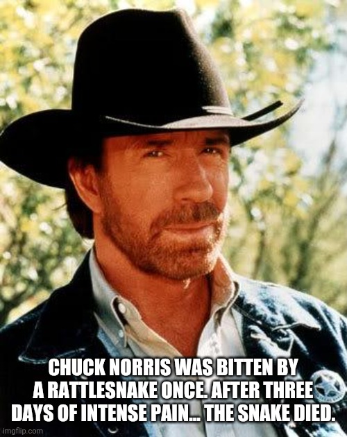 Chuck Norris rattlesnake | CHUCK NORRIS WAS BITTEN BY A RATTLESNAKE ONCE. AFTER THREE DAYS OF INTENSE PAIN... THE SNAKE DIED. | image tagged in memes,chuck norris,star trek,riker | made w/ Imgflip meme maker
