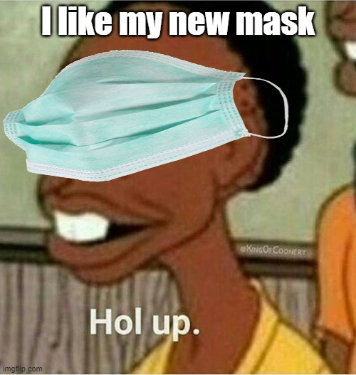 hol up | I like my new mask | image tagged in hol up | made w/ Imgflip meme maker