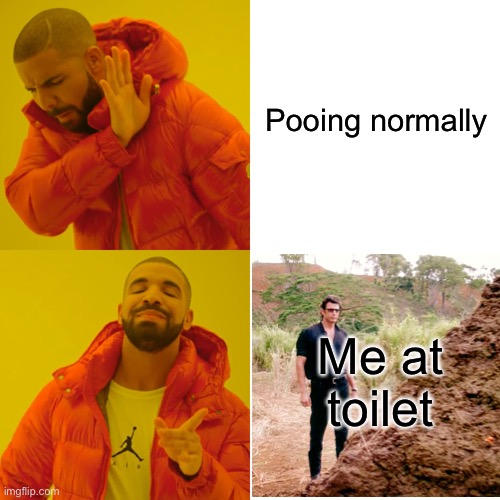 How to Poo | Pooing normally; Me at toilet | image tagged in memes,drake hotline bling | made w/ Imgflip meme maker