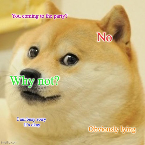 Doge Meme | You coming to the party? No; Why not? I am busy sorry 

It’s okay; Obviously lying | image tagged in memes,doge | made w/ Imgflip meme maker