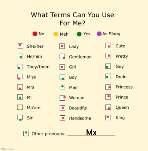 .____. | Mx | image tagged in pronouns sheet | made w/ Imgflip meme maker