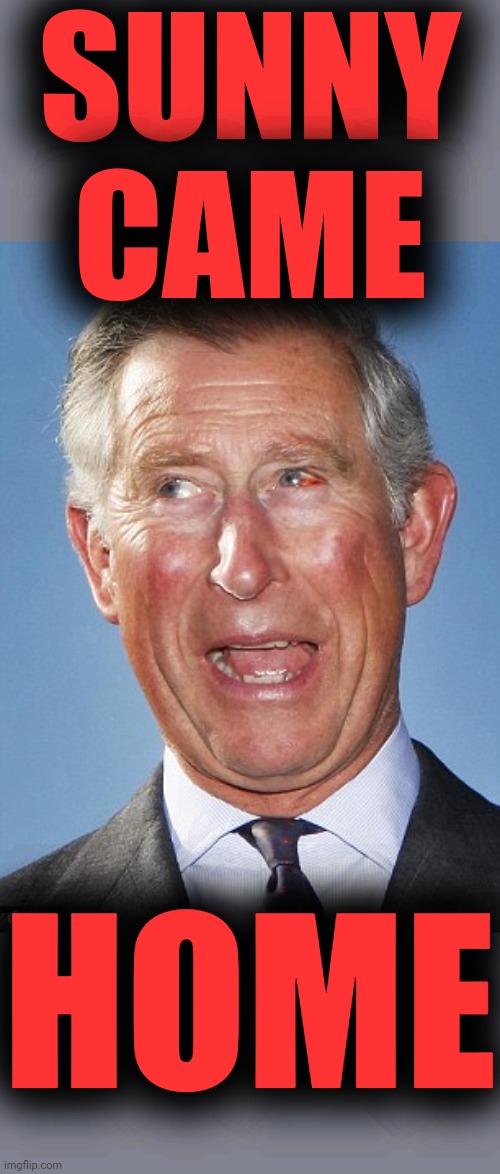 prince charles | SUNNY CAME HOME | image tagged in prince charles | made w/ Imgflip meme maker