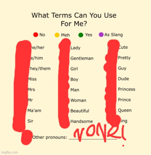 Pronouns Sheet | image tagged in pronouns sheet | made w/ Imgflip meme maker