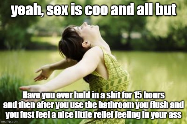 I love it | yeah, sex is coo and all but; Have you ever held in a shit for 15 hours and then after you use the bathroom you flush and you fust feel a nice little relief feeling in your ass | image tagged in that moment when relief | made w/ Imgflip meme maker