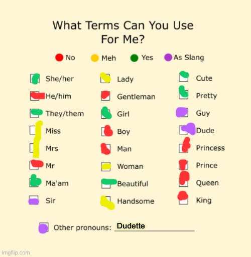 Here’s my revised pronouns sheet | Dudette | image tagged in pronouns sheet | made w/ Imgflip meme maker