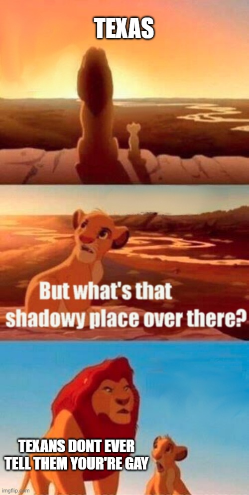 Simba Shadowy Place | TEXAS; TEXANS DONT EVER TELL THEM YOUR'RE GAY | image tagged in memes,simba shadowy place,texas | made w/ Imgflip meme maker
