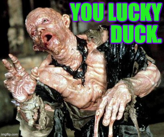 YOU LUCKY
DUCK. | made w/ Imgflip meme maker