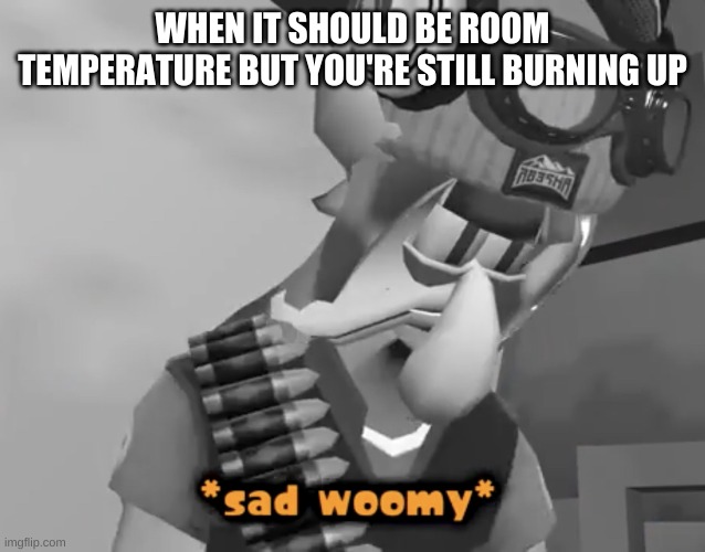 AAAAAAAAAA | WHEN IT SHOULD BE ROOM TEMPERATURE BUT YOU'RE STILL BURNING UP | image tagged in sad woomy | made w/ Imgflip meme maker