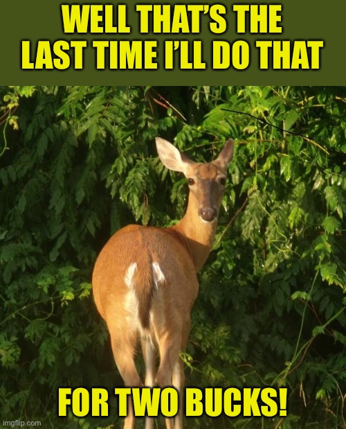 Oh deer... | WELL THAT’S THE LAST TIME I’LL DO THAT; FOR TWO BUCKS! | image tagged in sexy deer | made w/ Imgflip meme maker