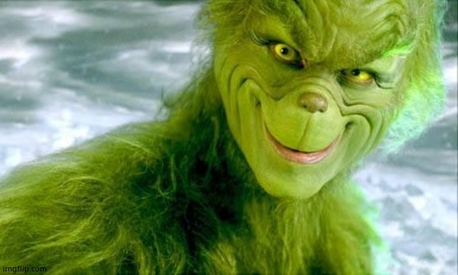 Grinch Lenny | image tagged in grinch lenny | made w/ Imgflip meme maker