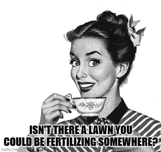 50s woman | ISN'T THERE A LAWN YOU COULD BE FERTILIZING SOMEWHERE? | image tagged in 50s woman | made w/ Imgflip meme maker