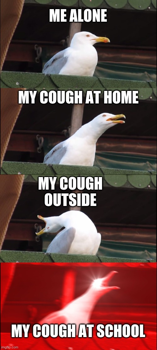 Me coughing | ME ALONE; MY COUGH AT HOME; MY COUGH OUTSIDE; MY COUGH AT SCHOOL | image tagged in memes,inhaling seagull | made w/ Imgflip meme maker