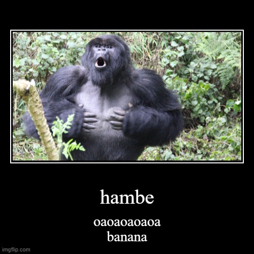 hambe | image tagged in funny,demotivationals,monkey | made w/ Imgflip demotivational maker