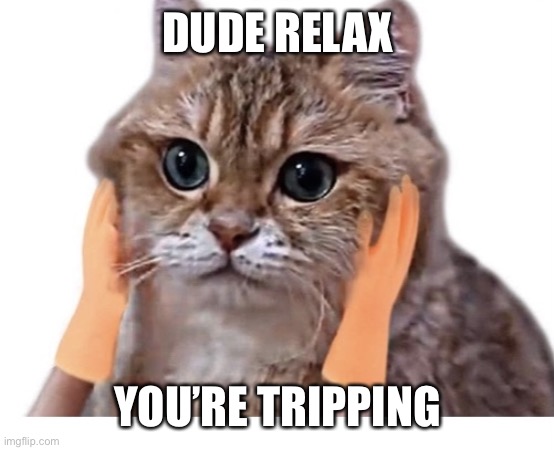 Dude, just relax | DUDE RELAX; YOU’RE TRIPPING | image tagged in cat trip | made w/ Imgflip meme maker