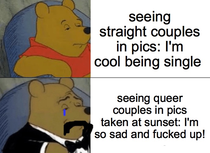 Tuxedo Winnie The Pooh Meme | seeing straight couples in pics: I'm cool being single; seeing queer couples in pics taken at sunset: I'm so sad and fucked up! | image tagged in memes,tuxedo winnie the pooh | made w/ Imgflip meme maker