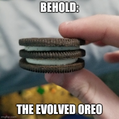 I made an oreo thats like 8 oreos high b4, and i ate it whole | BEHOLD:; THE EVOLVED OREO | image tagged in oreos,evolution | made w/ Imgflip meme maker