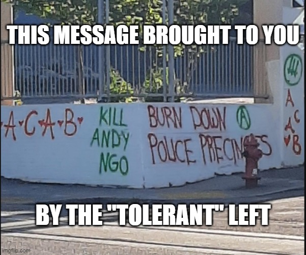Tolerance, liberal style | THIS MESSAGE BROUGHT TO YOU; BY THE "TOLERANT" LEFT | image tagged in antifa,andy ngo,liberals,left,hypocrisy | made w/ Imgflip meme maker