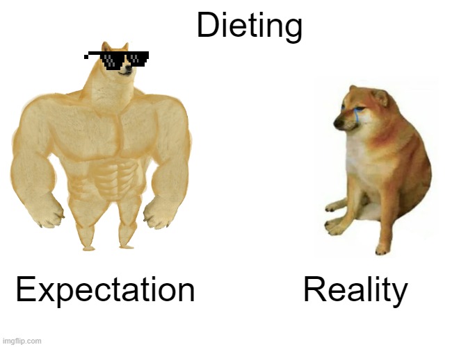 Dieting |  Dieting; Expectation; Reality | image tagged in memes,buff doge vs cheems,diet | made w/ Imgflip meme maker