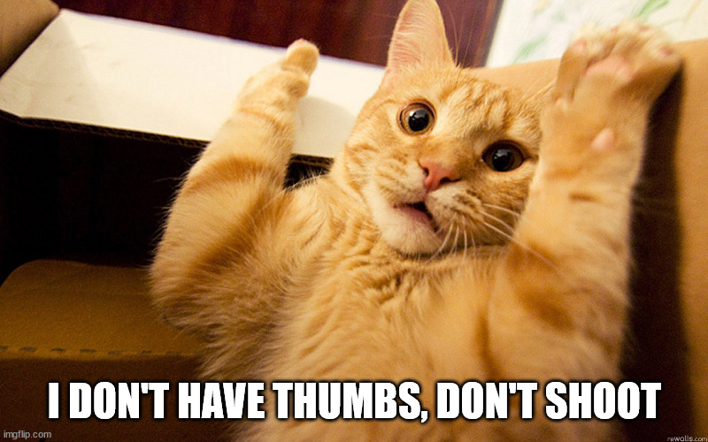 Don't shoot | I DON'T HAVE THUMBS, DON'T SHOOT | image tagged in don't shoot | made w/ Imgflip meme maker