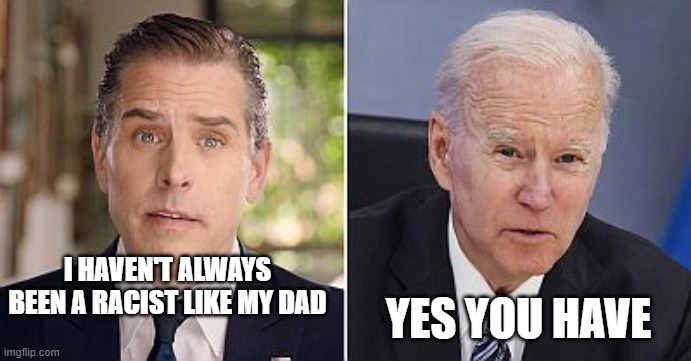 Racist Bidens | YES YOU HAVE; I HAVEN'T ALWAYS BEEN A RACIST LIKE MY DAD | image tagged in racist bidens | made w/ Imgflip meme maker