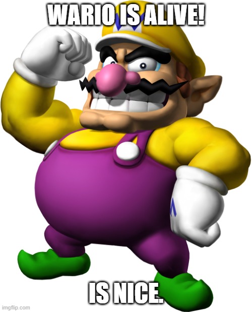 here he is | WARIO IS ALIVE! IS NICE. | image tagged in wario | made w/ Imgflip meme maker