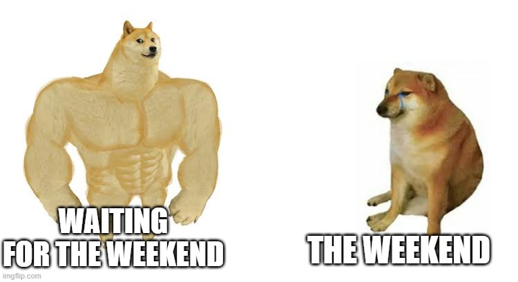 Strong doge weak doge | THE WEEKEND; WAITING FOR THE WEEKEND | image tagged in strong doge weak doge | made w/ Imgflip meme maker
