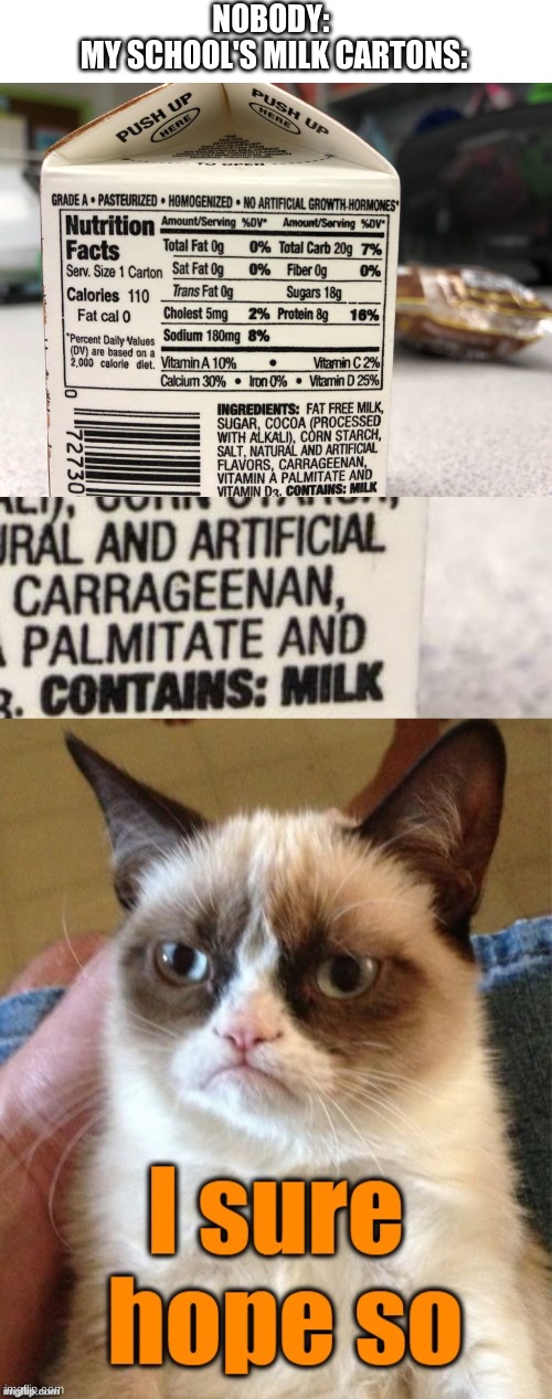 School milk |  NOBODY: 
MY SCHOOL'S MILK CARTONS: | image tagged in school,choccy milk,grumpy cat,grumpy cat not amused | made w/ Imgflip meme maker