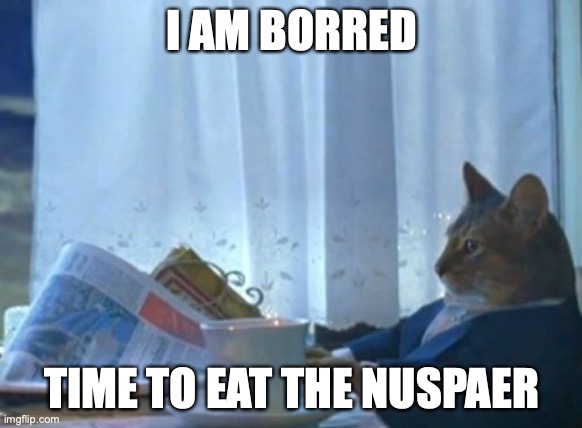 REDIN | I AM BORRED; TIME TO EAT THE NUSPAER | image tagged in memes,i should buy a boat cat | made w/ Imgflip meme maker