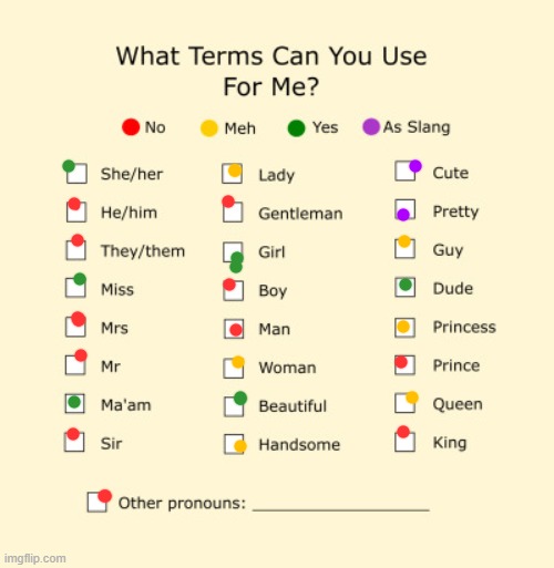 My Pronouns! | image tagged in pronouns sheet | made w/ Imgflip meme maker