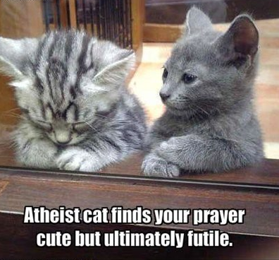 image tagged in kittens,cats,atheism