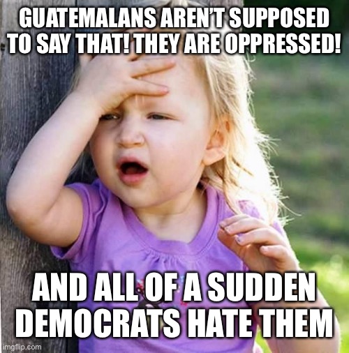 duh | GUATEMALANS AREN’T SUPPOSED TO SAY THAT! THEY ARE OPPRESSED! AND ALL OF A SUDDEN DEMOCRATS HATE THEM | image tagged in duh | made w/ Imgflip meme maker