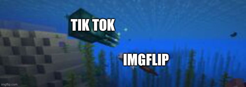 Die tik tok. DIE |  TIK TOK; IMGFLIP | image tagged in glow squid being chased by axoloti | made w/ Imgflip meme maker