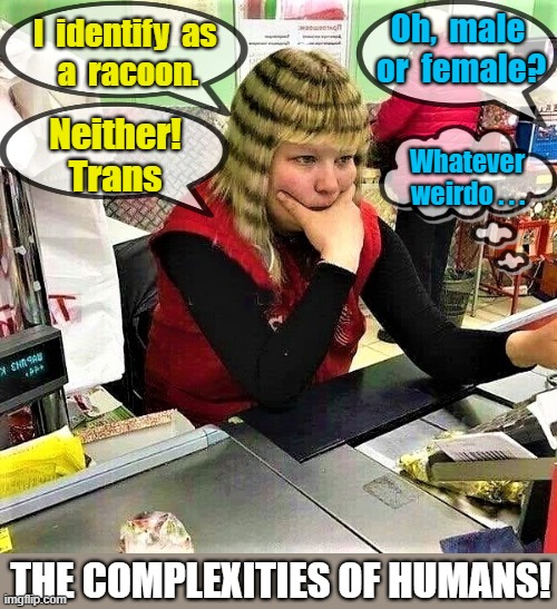 I identify as a racoon |  I  identify  as 
a  racoon. Oh,  male 
or  female? Neither!
Trans; Whatever
weirdo . . . THE COMPLEXITIES OF HUMANS! | image tagged in funny memes,stupid people,annoying people,racoon,trans,what the hell is wrong with you people | made w/ Imgflip meme maker
