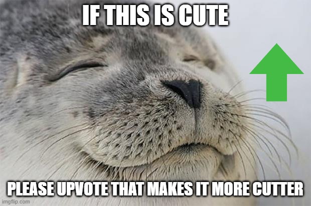 cute |  IF THIS IS CUTE; PLEASE UPVOTE THAT MAKES IT MORE CUTTER | image tagged in memes,satisfied seal,cutie | made w/ Imgflip meme maker