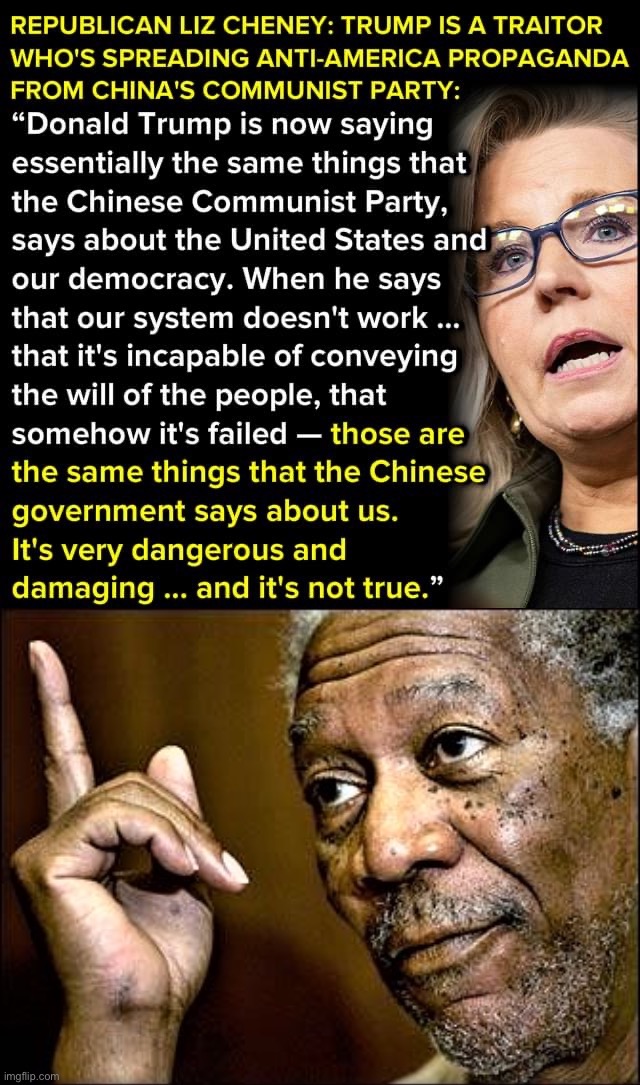 Republicans have a point — sometimes! | image tagged in liz cheney vs donald trump,morgan freeman this hq | made w/ Imgflip meme maker