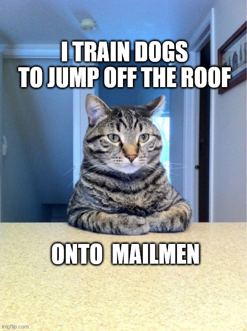 Take A Seat Cat Meme |  I TRAIN DOGS TO JUMP OFF THE ROOF; ONTO  MAILMEN | image tagged in memes,take a seat cat | made w/ Imgflip meme maker