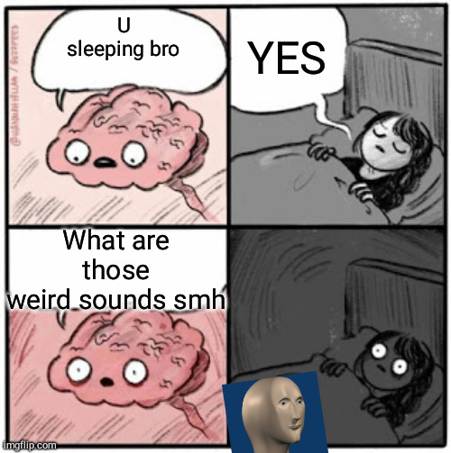 Brain Before Sleep | YES; U sleeping bro; What are those weird sounds smh | image tagged in brain before sleep | made w/ Imgflip meme maker