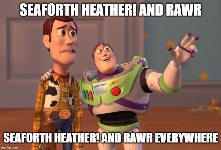 X, X Everywhere Meme | SEAFORTH HEATHER! AND RAWR; SEAFORTH HEATHER! AND RAWR EVERYWHERE | image tagged in memes,x x everywhere | made w/ Imgflip meme maker