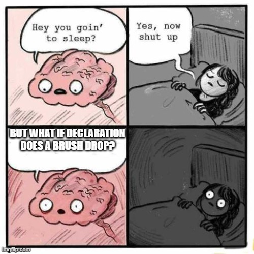 Hey you going to sleep? | BUT WHAT IF DECLARATION DOES A BRUSH DROP? | image tagged in hey you going to sleep | made w/ Imgflip meme maker