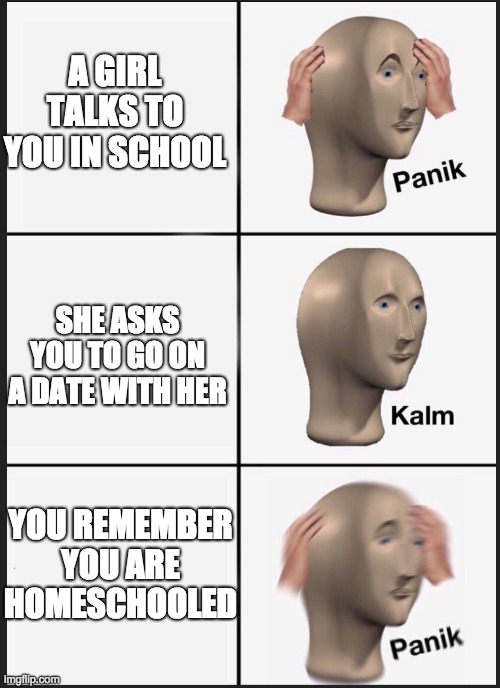 sus | A GIRL TALKS TO YOU IN SCHOOL; SHE ASKS YOU TO GO ON A DATE WITH HER; YOU REMEMBER YOU ARE HOMESCHOOLED | image tagged in panik calm panik | made w/ Imgflip meme maker