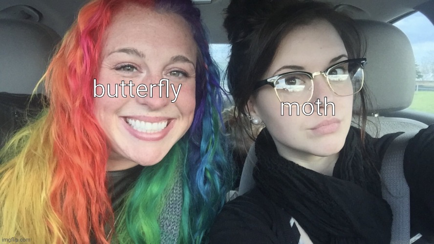 butterfly colorful and moth not | moth; butterfly | image tagged in rainbow hair and goth,moth,butterfly,comparison | made w/ Imgflip meme maker