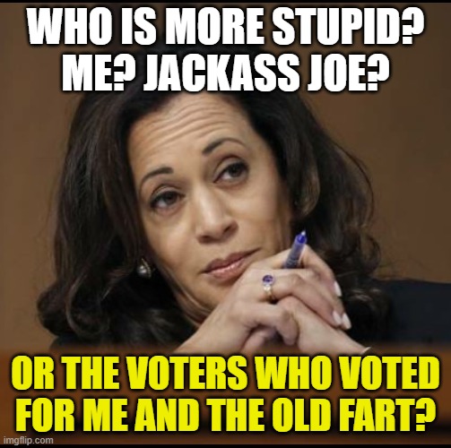 Kamala Harris  | WHO IS MORE STUPID?
ME? JACKASS JOE? OR THE VOTERS WHO VOTED FOR ME AND THE OLD FART? | image tagged in kamala harris | made w/ Imgflip meme maker