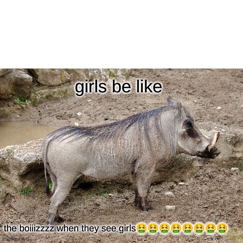 meme | girls be like; the boiiizzzz when they see girls🤮🤮🤮🤮🤮🤮🤮🤮 | image tagged in memes | made w/ Imgflip meme maker