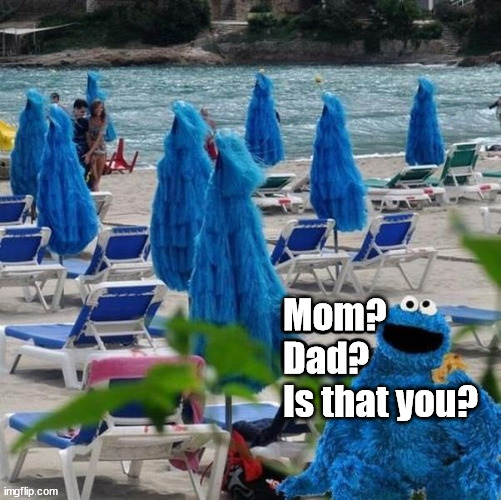 Mom?
Dad?
Is that you? | image tagged in cookie monster | made w/ Imgflip meme maker