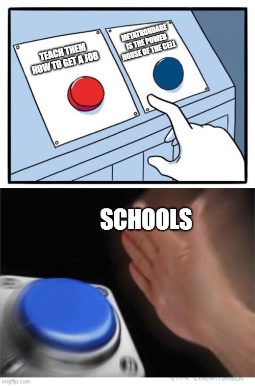 two buttons 1 blue | METATRONDARE IS THE POWER HOUSE OF THE CELL; TEACH THEM HOW TO GET A JOB; SCHOOLS | image tagged in two buttons 1 blue | made w/ Imgflip meme maker