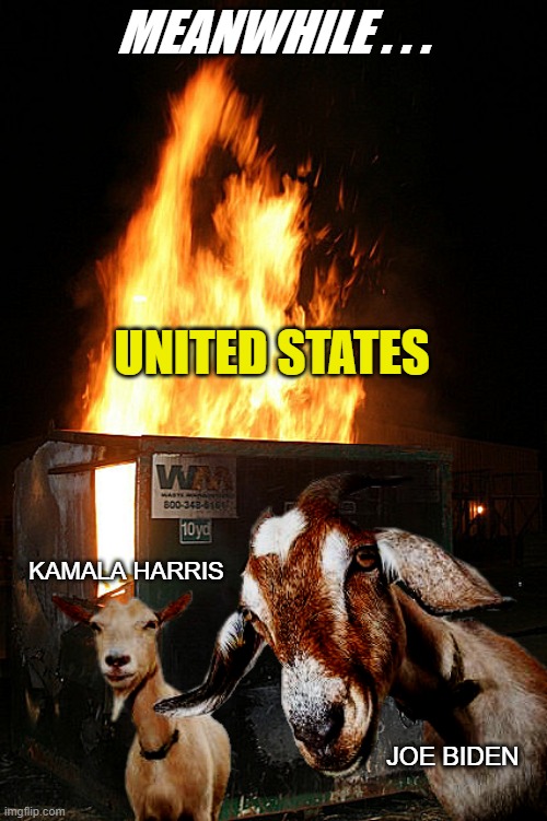 Dumpster Fire Goats | MEANWHILE . . . UNITED STATES KAMALA HARRIS JOE BIDEN | image tagged in dumpster fire goats | made w/ Imgflip meme maker