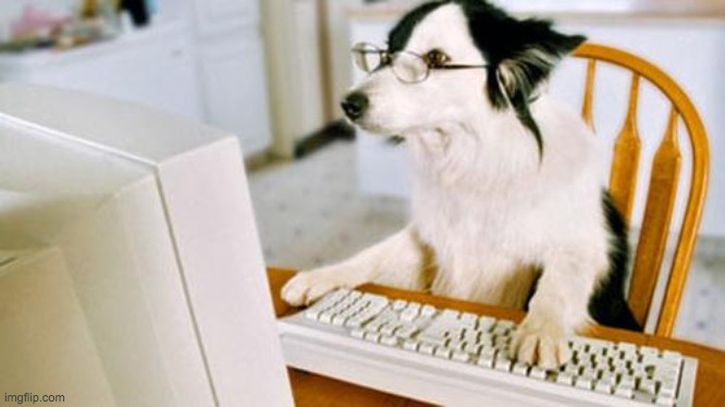 Dog computer | image tagged in dog computer | made w/ Imgflip meme maker