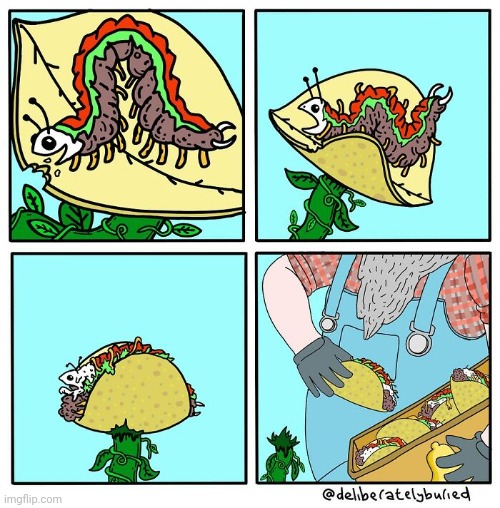 I seen enough | image tagged in tacos,taco,bugs,catapiller,unsee juice,what a terrible day to have eyes | made w/ Imgflip meme maker